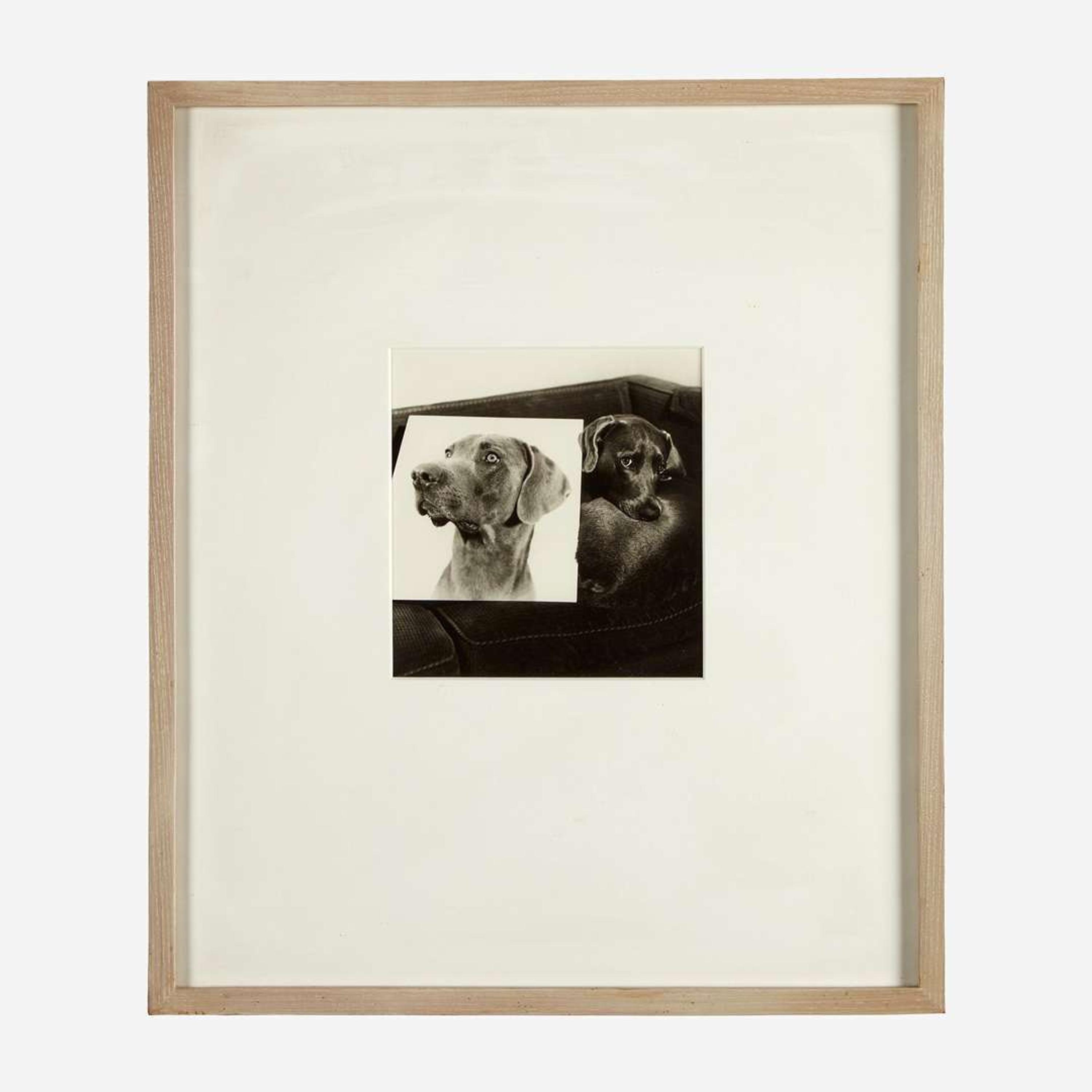 William Wegman (American, b. 1943) Double Portrait (plate VII from Man Ray: A Portfolio of 10 Photographs)