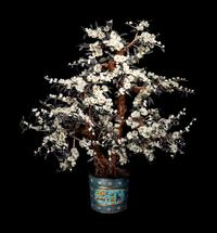 A Large Jade and Cloisonné Enamel Planter
