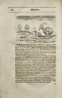 [Travel & Exploration] (Thomas, Herbert). A Relation of Some Yeares Travaile, Begunne Anno 1626. Into Afrique and the greater Asia, especially the Territories of the Persian Monarchie: and some parts of the Orientall Indies, and Iles adjacent...