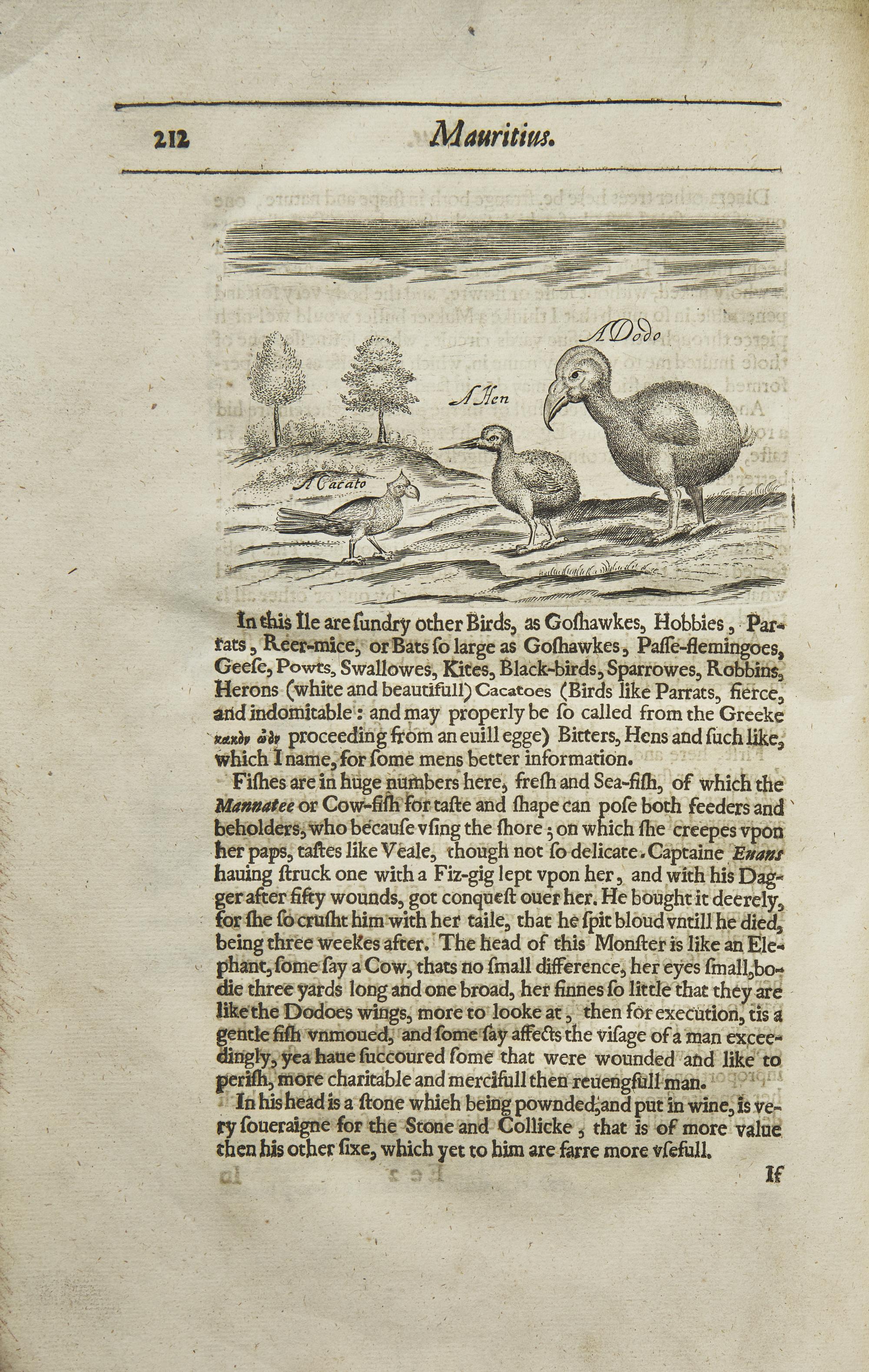 [Travel & Exploration] (Thomas, Herbert). A Relation of Some Yeares Travaile, Begunne Anno 1626. Into Afrique and the greater Asia, especially the Territories of the Persian Monarchie: and some parts of the Orientall Indies, and Iles adjacent...