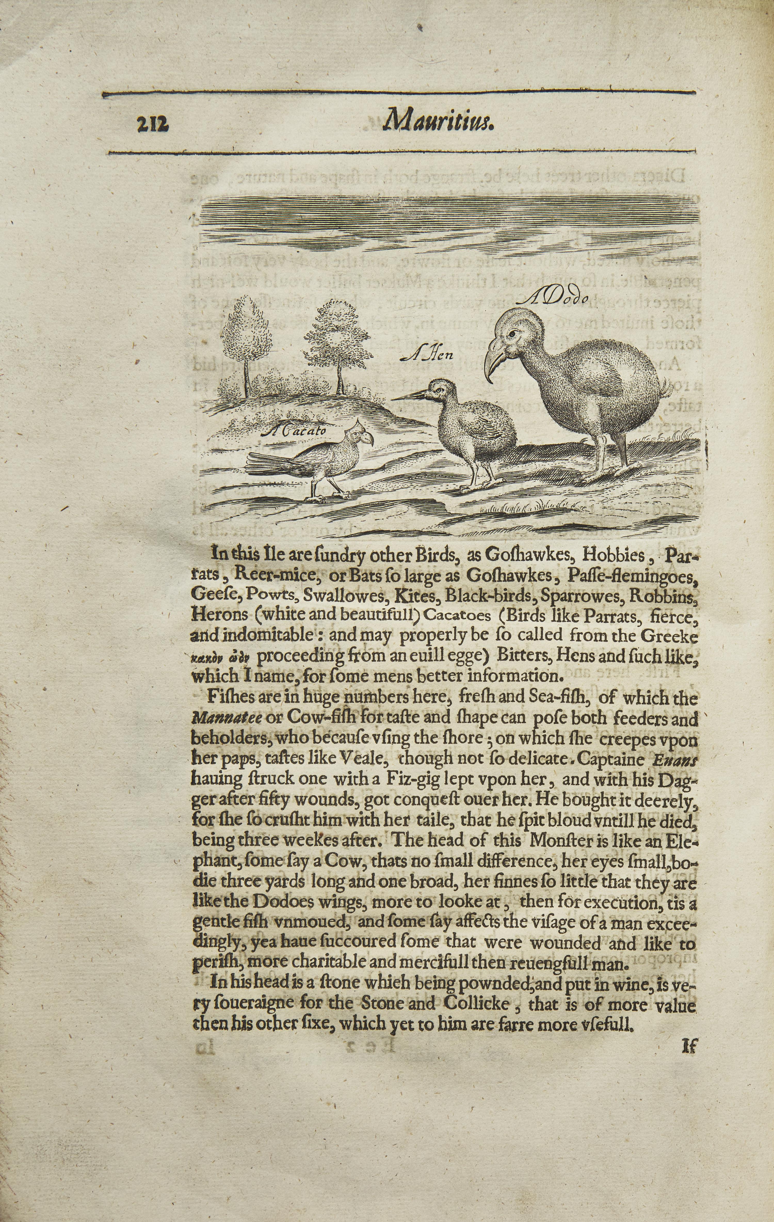 [Travel & Exploration] (Thomas, Herbert). A Relation of Some Yeares Travaile, Begunne Anno 1626. Into Afrique and the greater Asia, especially the Territories of the Persian Monarchie: and some parts of the Orientall Indies, and Iles adjacent...