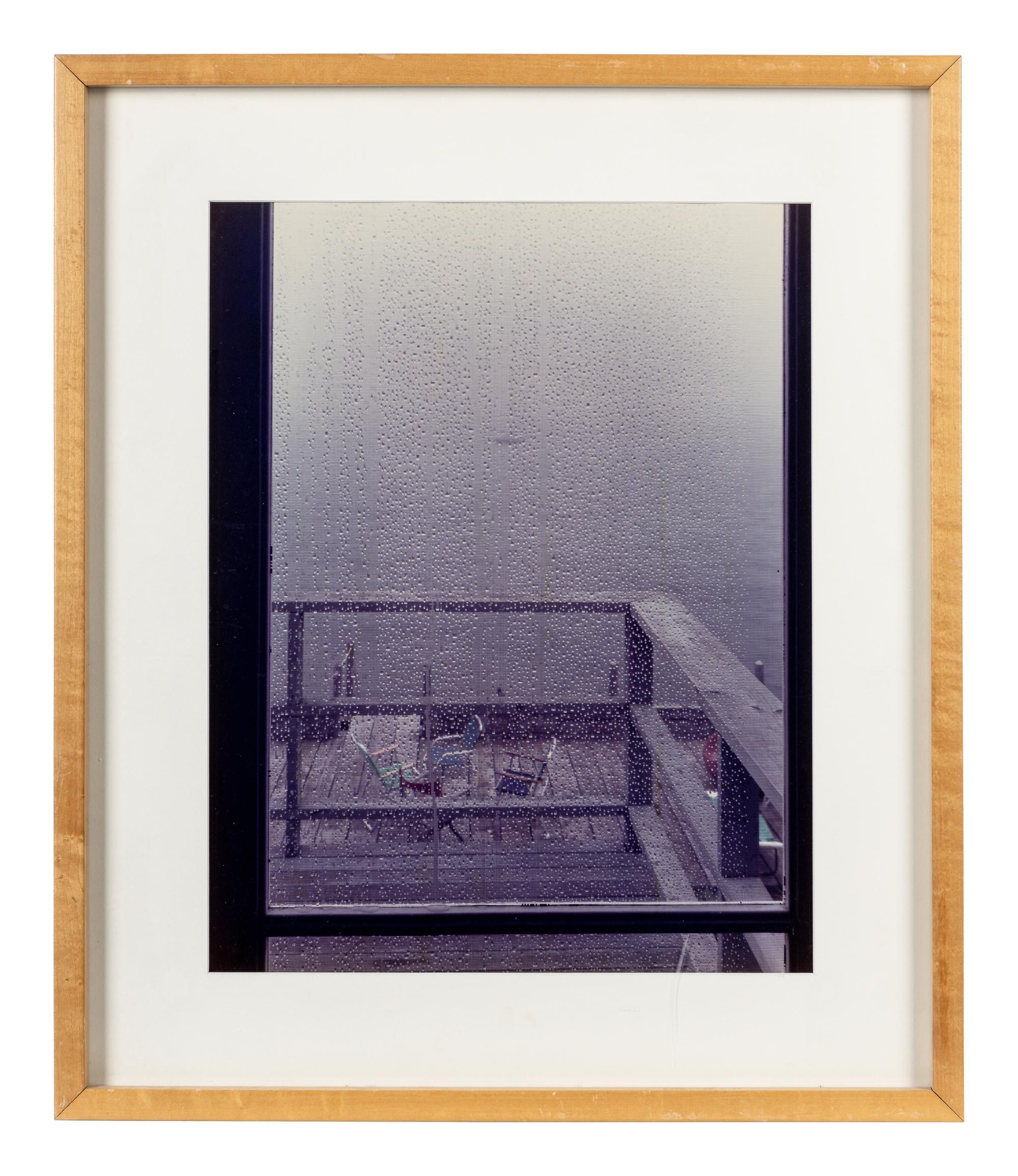 Joel Meyerowitz (born 1938) The Screen Door, 1982