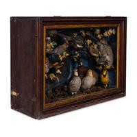 A Victorian Taxidermy Diorama