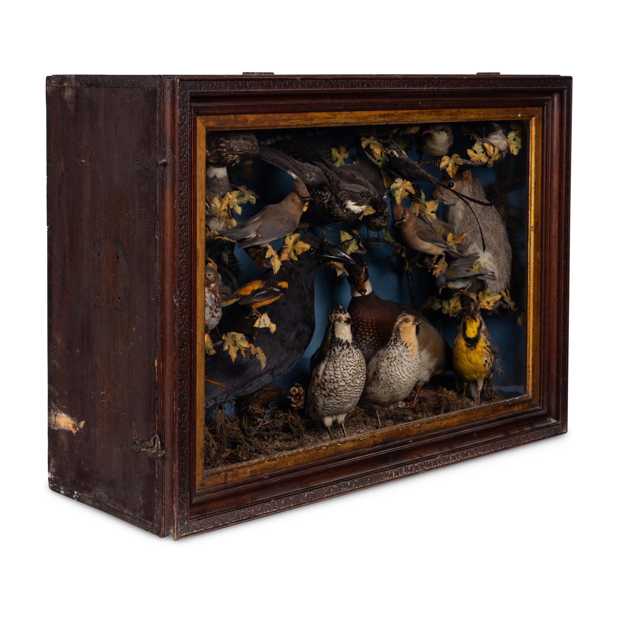 A Victorian Taxidermy Diorama