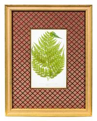 A Group of Four Botanical Prints Each 9 1/4 x 5 3/8 inches (visible).