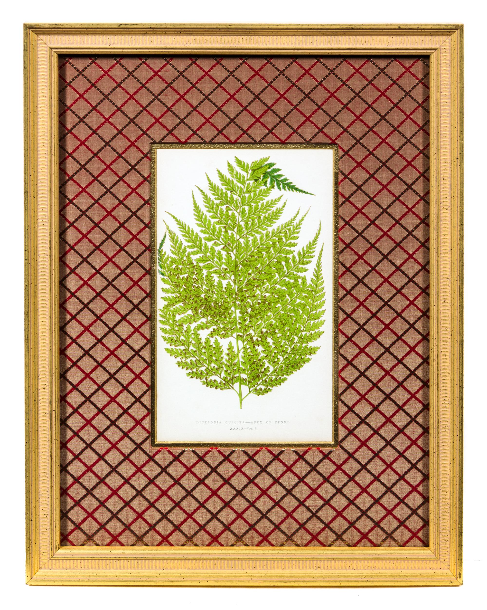 A Group of Four Botanical Prints Each 9 1/4 x 5 3/8 inches (visible).