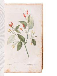 MATTSON, Morris (1809?-1885). The American Vegetable Practice, Or a New and Improved Guide to Health, Designed for the Use of Families. Boston: Daniel L. Hale, 1841.