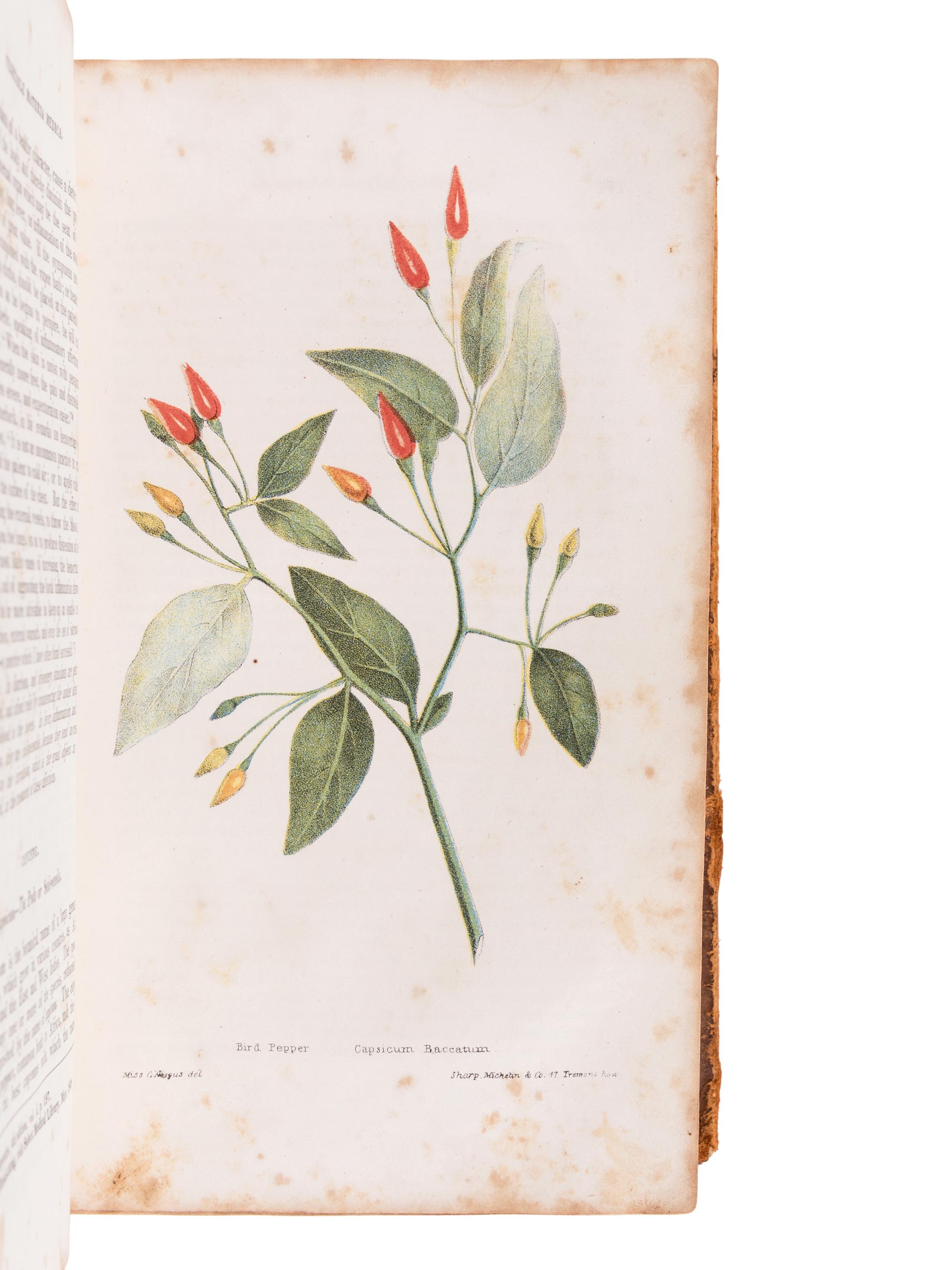 MATTSON, Morris (1809?-1885). The American Vegetable Practice, Or a New and Improved Guide to Health, Designed for the Use of Families. Boston: Daniel L. Hale, 1841.