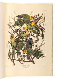 AUDUBON, John James (1785-1851). The Birds of America . New York and Amsterdam: Johnson Reprint Co. & Theatrum Orbis Terrarum [i.e. Nico Israel], 1971-1972.