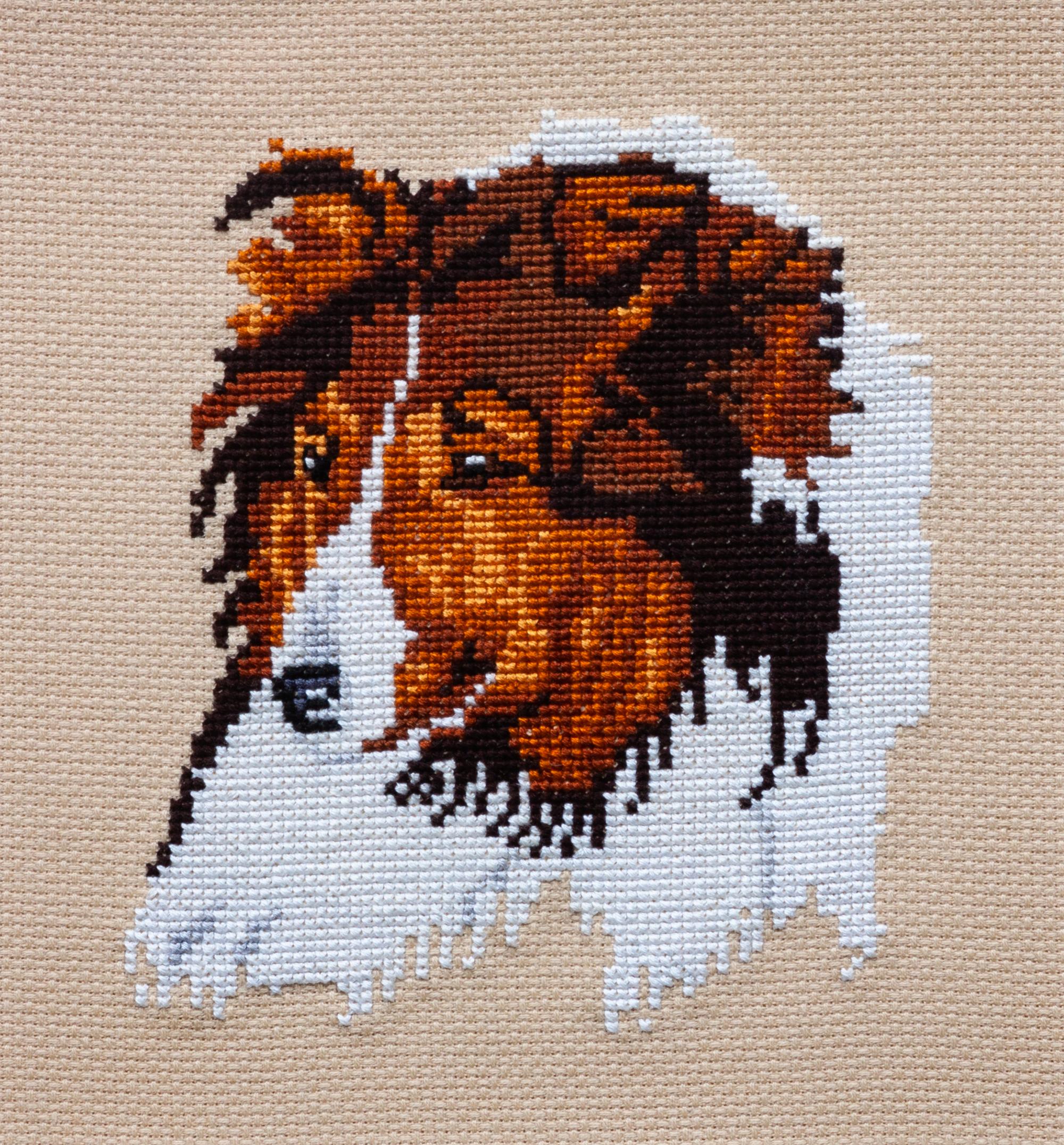 Three Works of Art depicting Shetland Sheepdogs Largest: 17 x 12 inches.