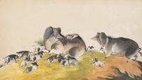 A Collection of Twelve Chinese Zoological Ink and Color Pith Paintings