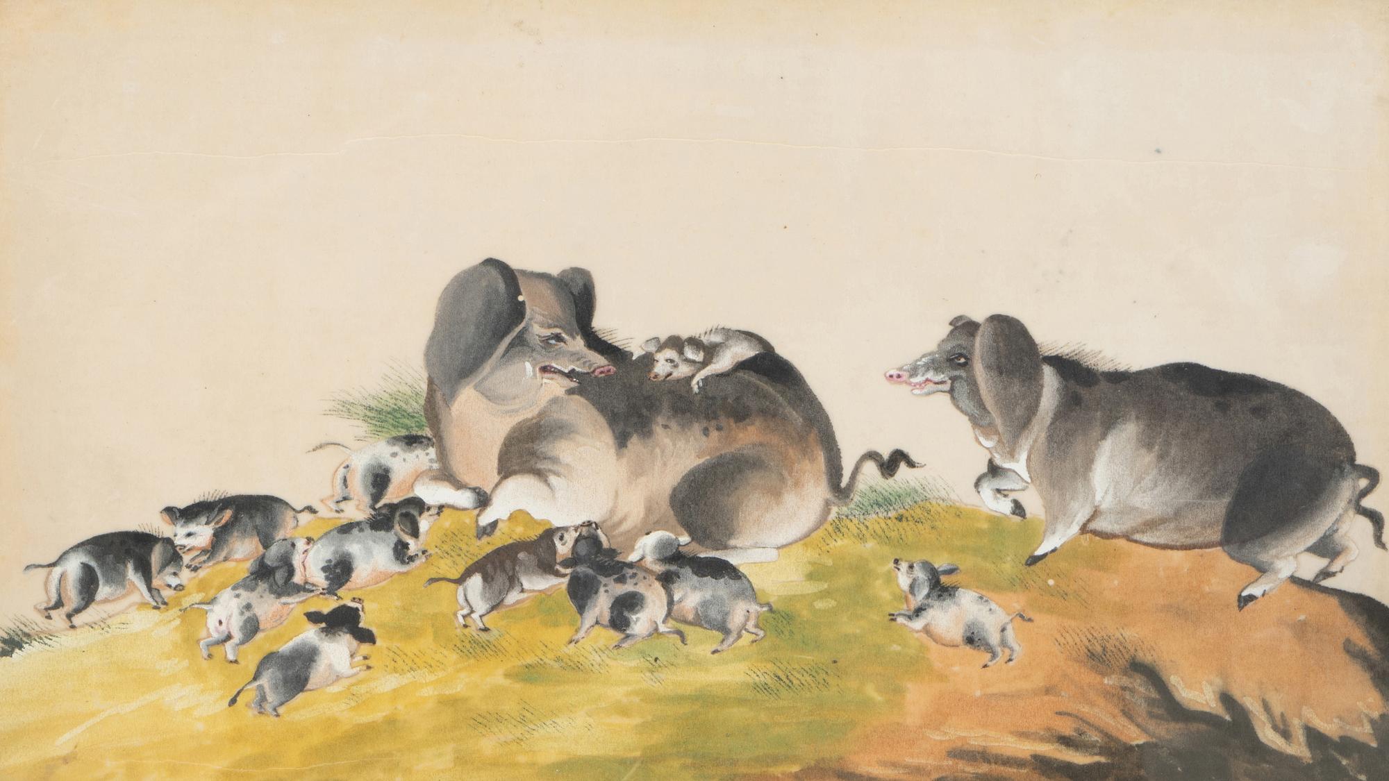 A Collection of Twelve Chinese Zoological Ink and Color Pith Paintings
