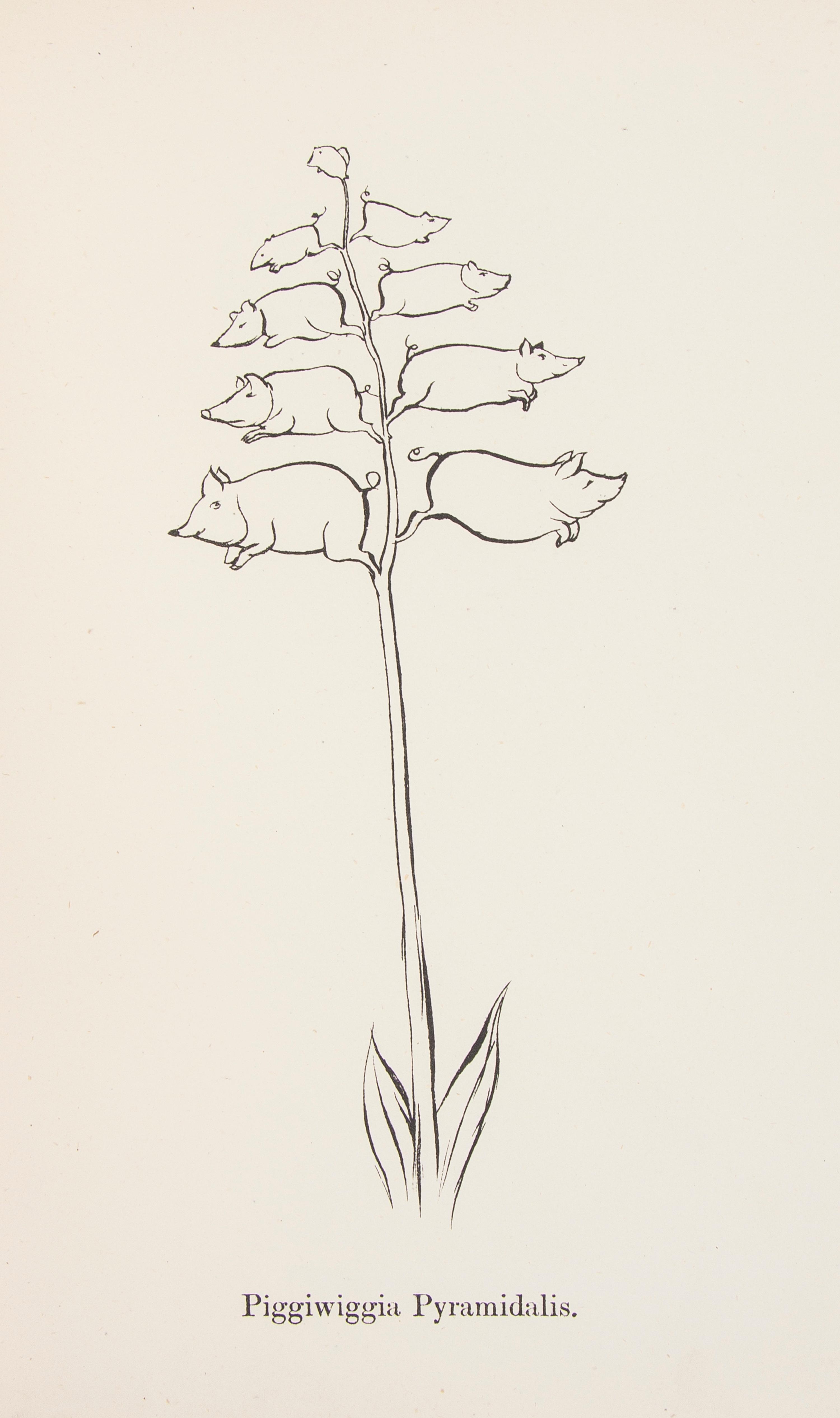 LEAR, EDWARD. Nonsense Songs, Stories, Botany and Alphabets. London, 1871. [Together with:] The Duck and the Kangaroo. Cambridge, 1956.