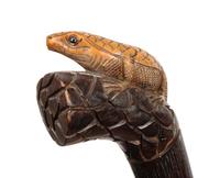 A Carved Wood Zoomorphic Walking Stick