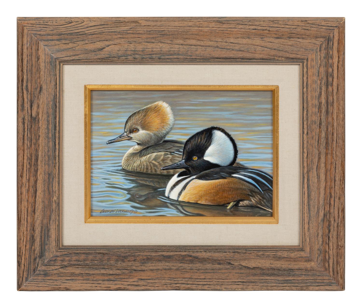 Hooded Mergansers , 1995