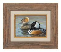 Hooded Mergansers , 1995