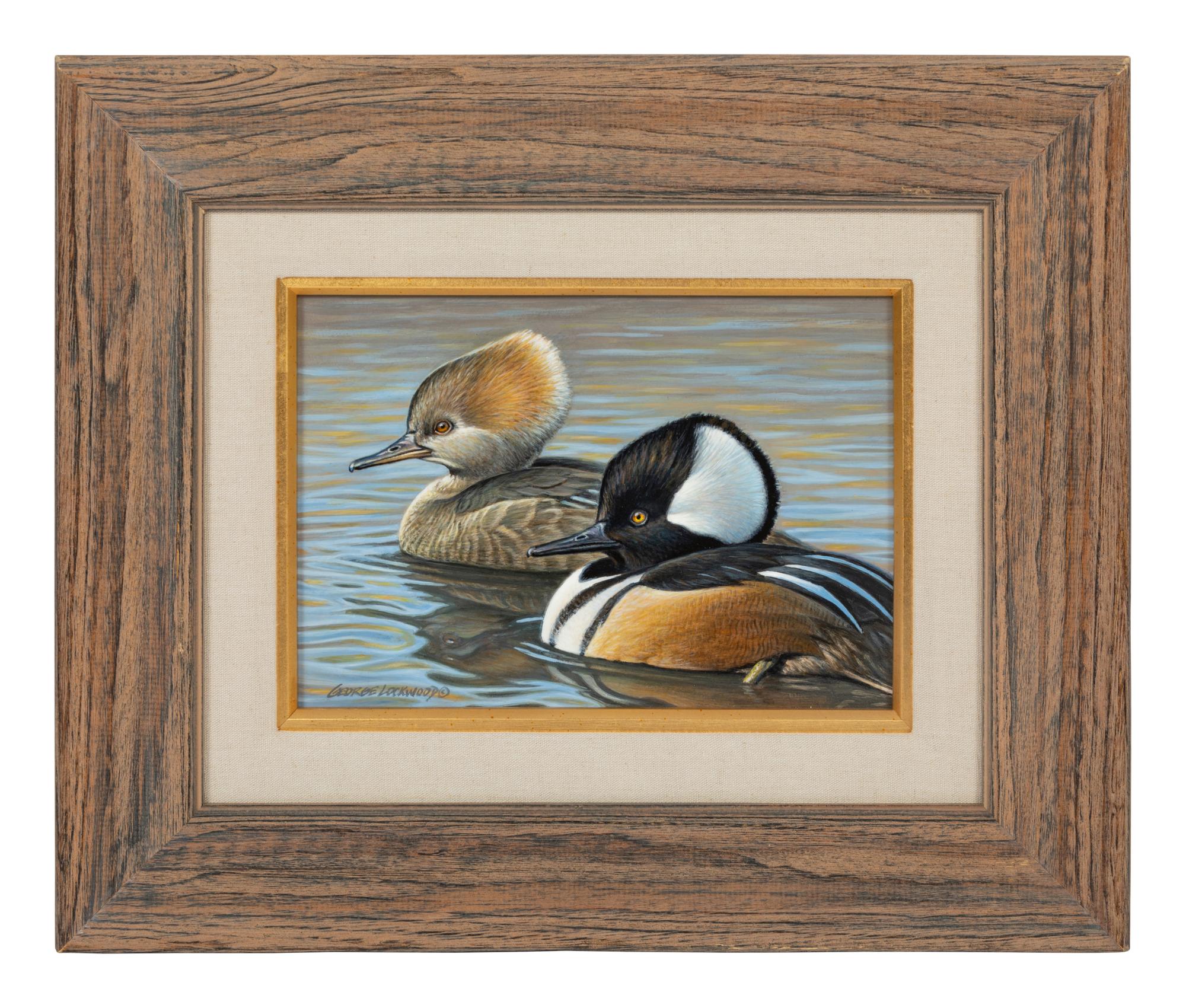Hooded Mergansers , 1995