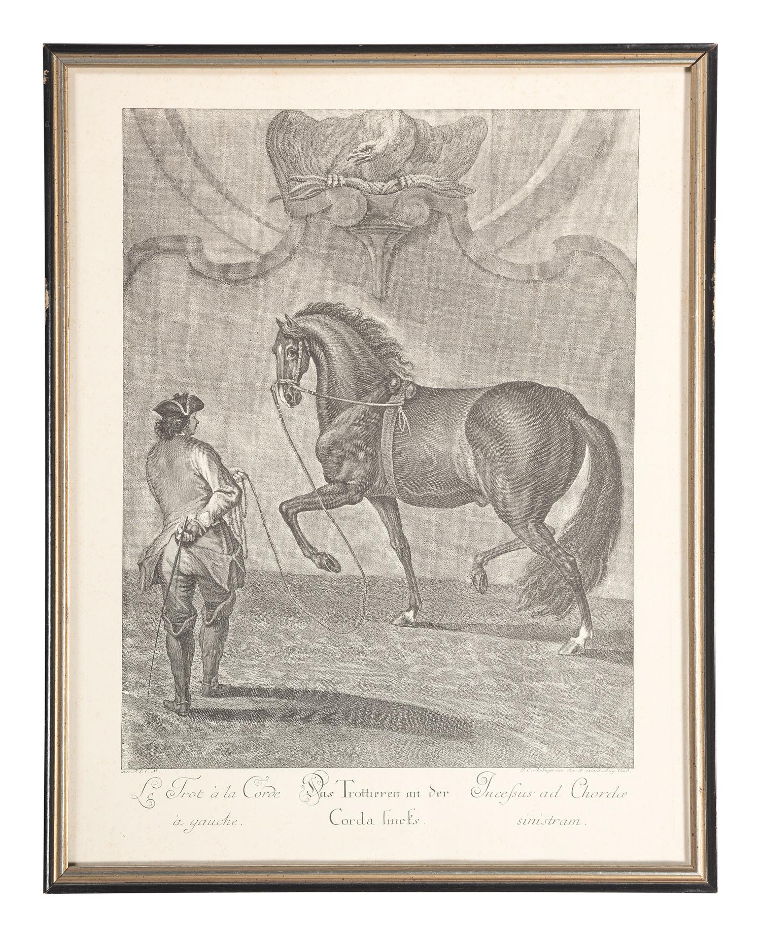 Six Austrian Equestrian Engravings