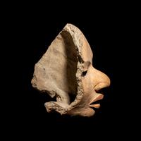 A Veracruz Terracotta Fragment of a Male Head