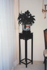 A Chinese Famille Rose Porcelain 'Dragon' Jardinière