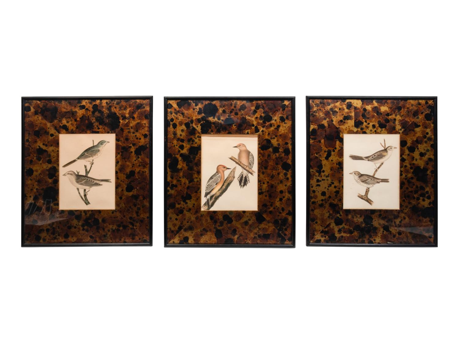 Three Ornithological Prints