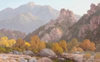 Sycamore Creek