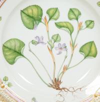 Twelve Royal Copenhagen Flora Danica Porcelain Dinner Plates