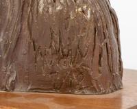Bust of an Indian , edition 7/12