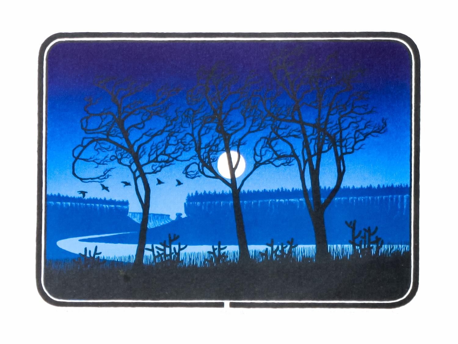 Douglas Johnson, (American, b. 1946), Rio Arriba Cottonwoods Choblas, 1982