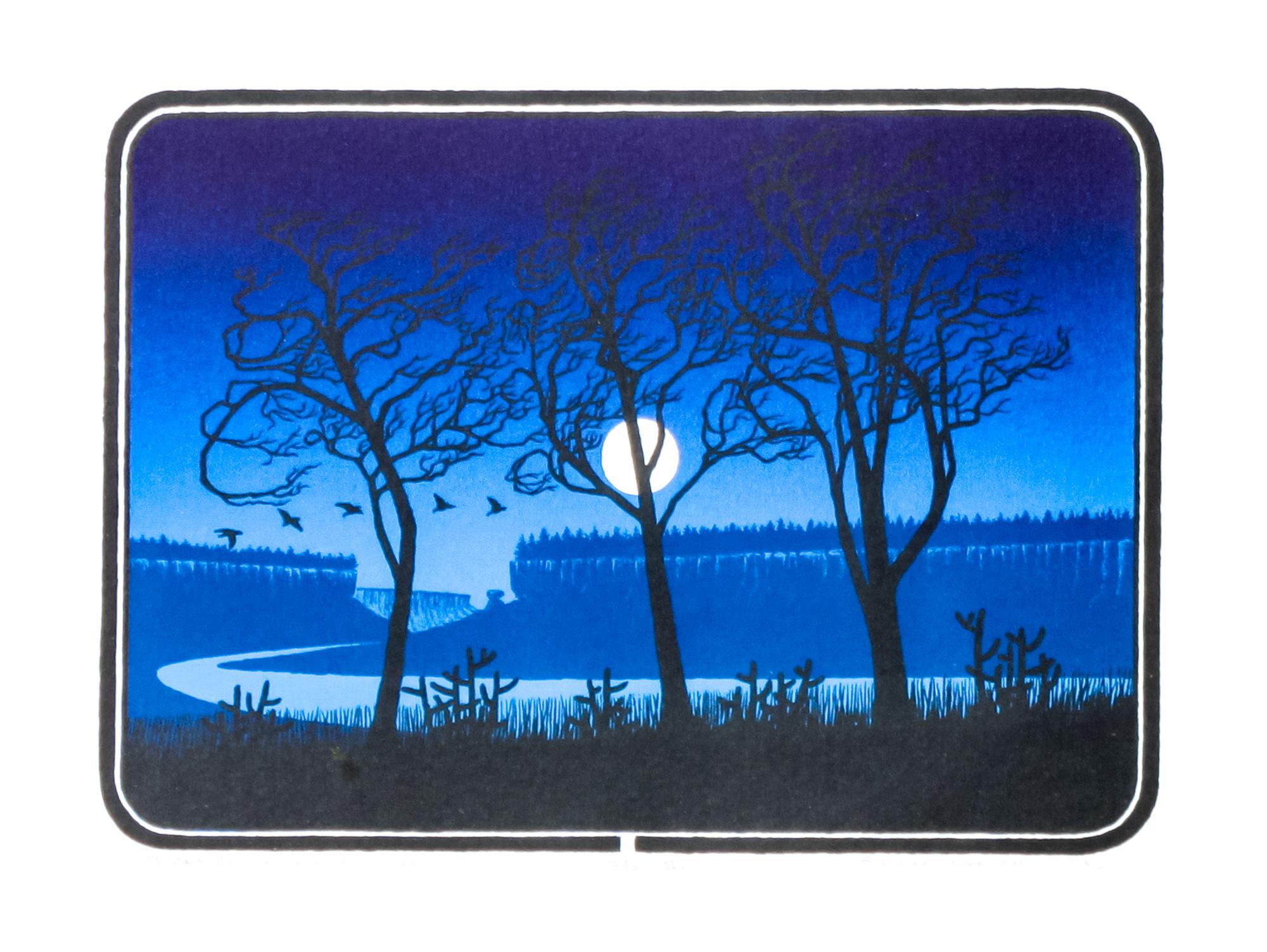 Douglas Johnson, (American, b. 1946), Rio Arriba Cottonwoods Choblas, 1982