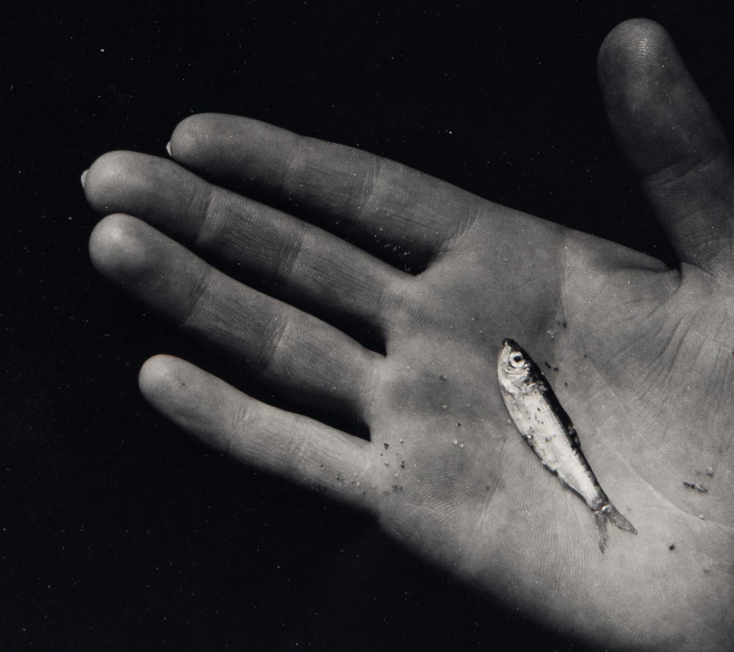 Martha's Vineyard (Hand with Minnow)