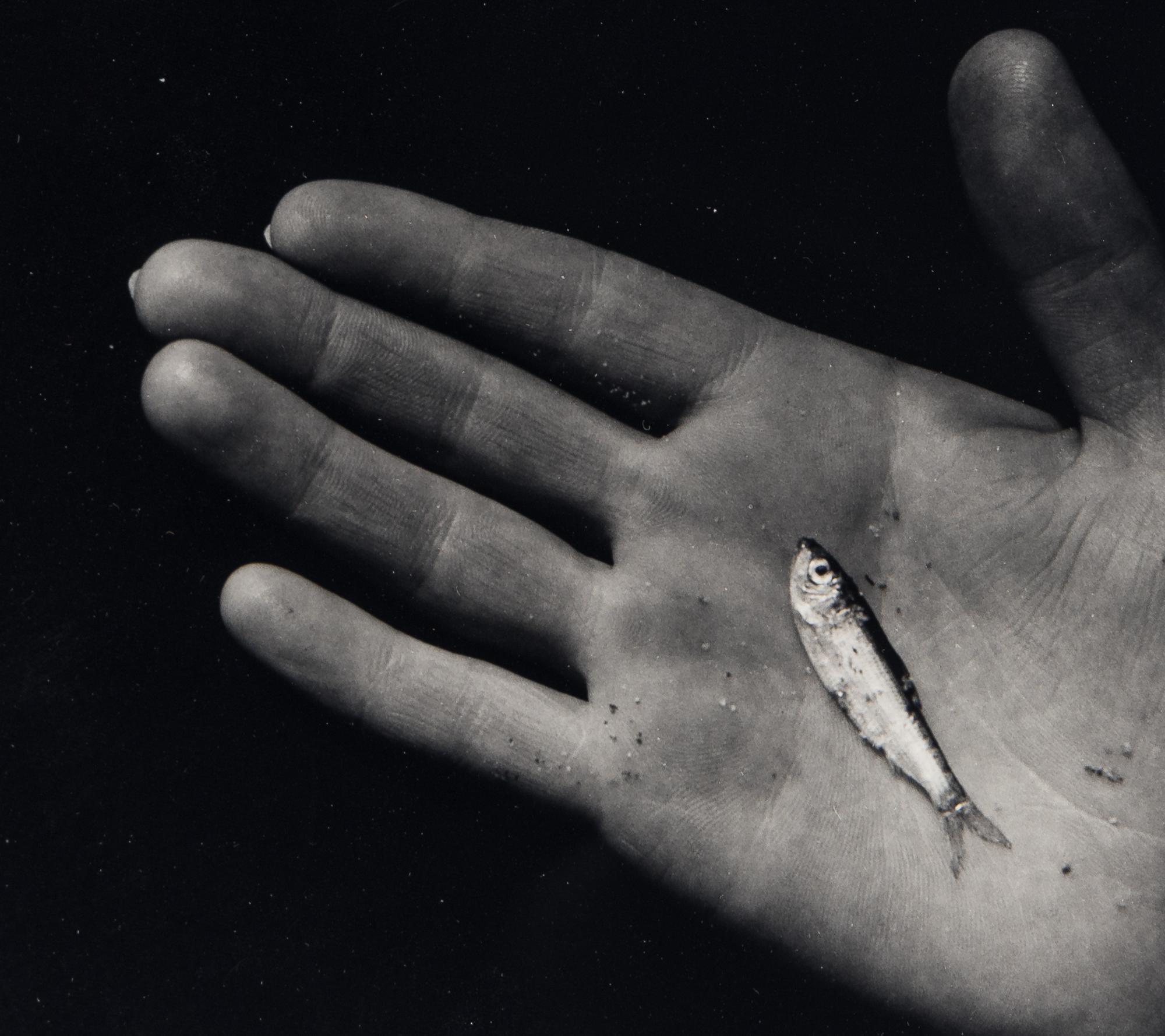 Martha's Vineyard (Hand with Minnow)