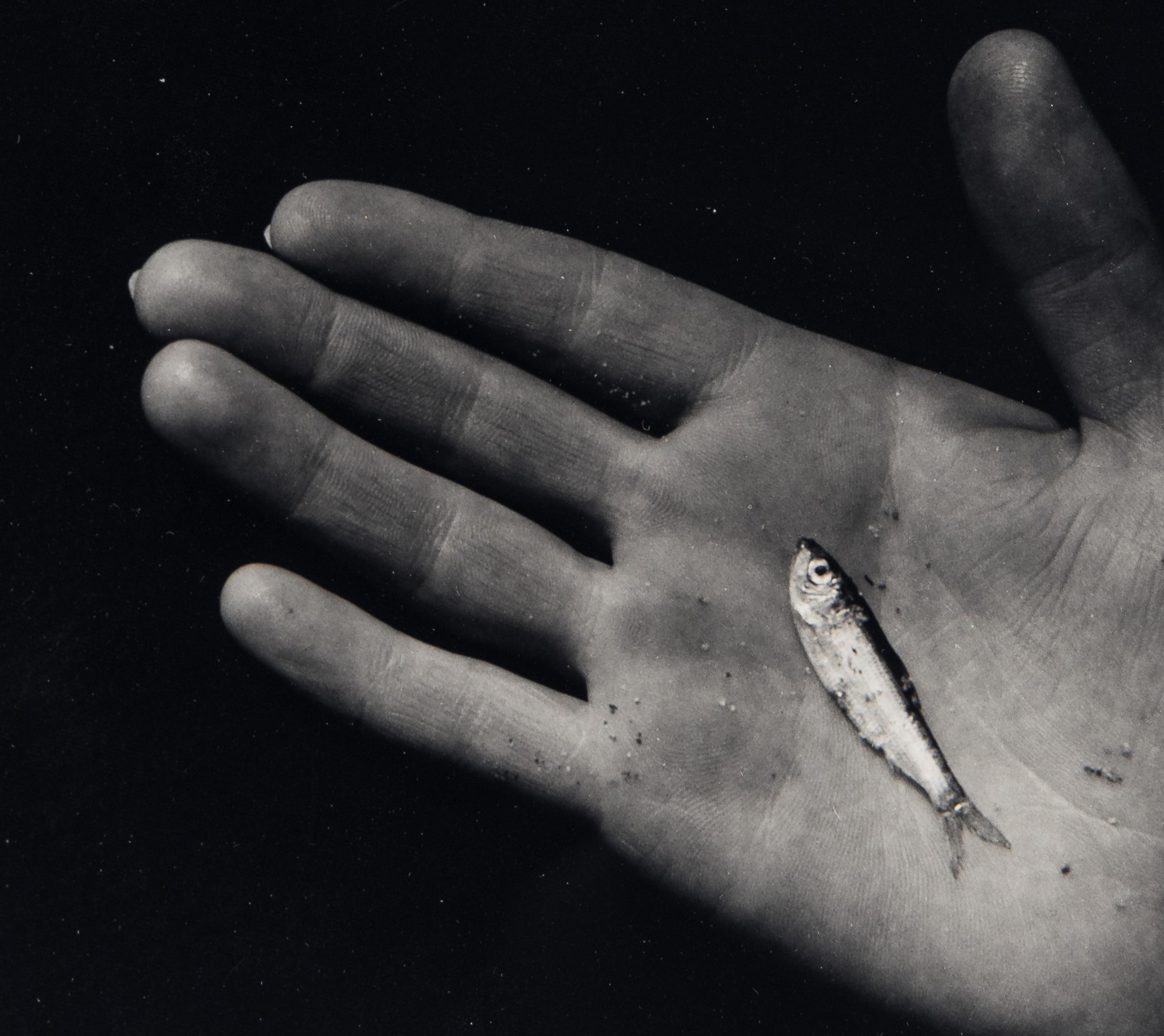 Martha's Vineyard (Hand with Minnow)