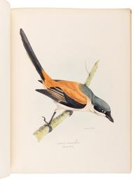 GRAY, George Robert (1808-1872). A Fasciculus of the Birds of China . [London: privately printed, 1871.]