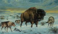 The Buffalo Wolves