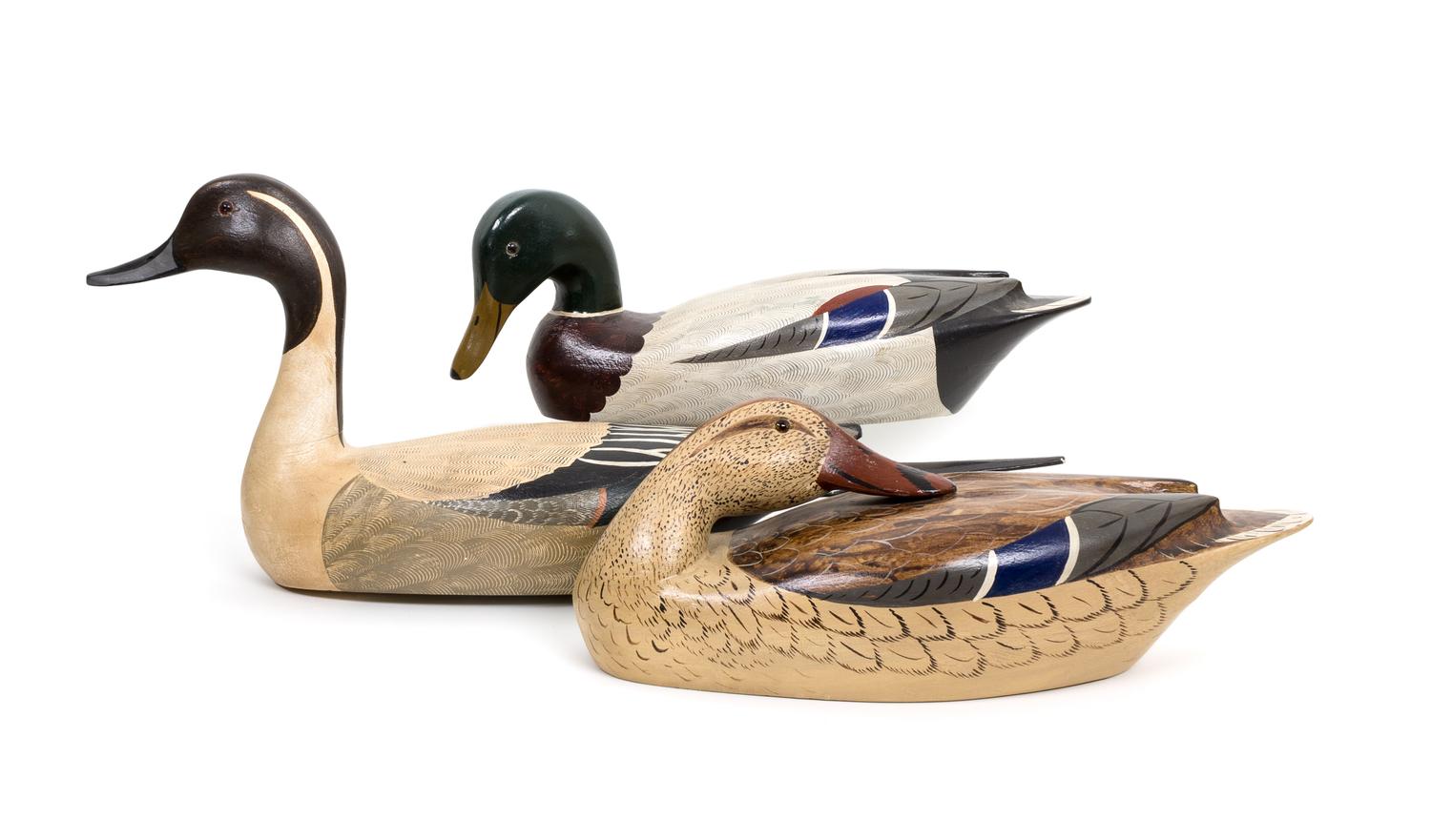 Three Painted Decoys, Chas. A. Moore Height of largest 9 x width 22 1/2 inches.