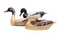 Three Painted Decoys, Chas. A. Moore Height of largest 9 x width 22 1/2 inches.