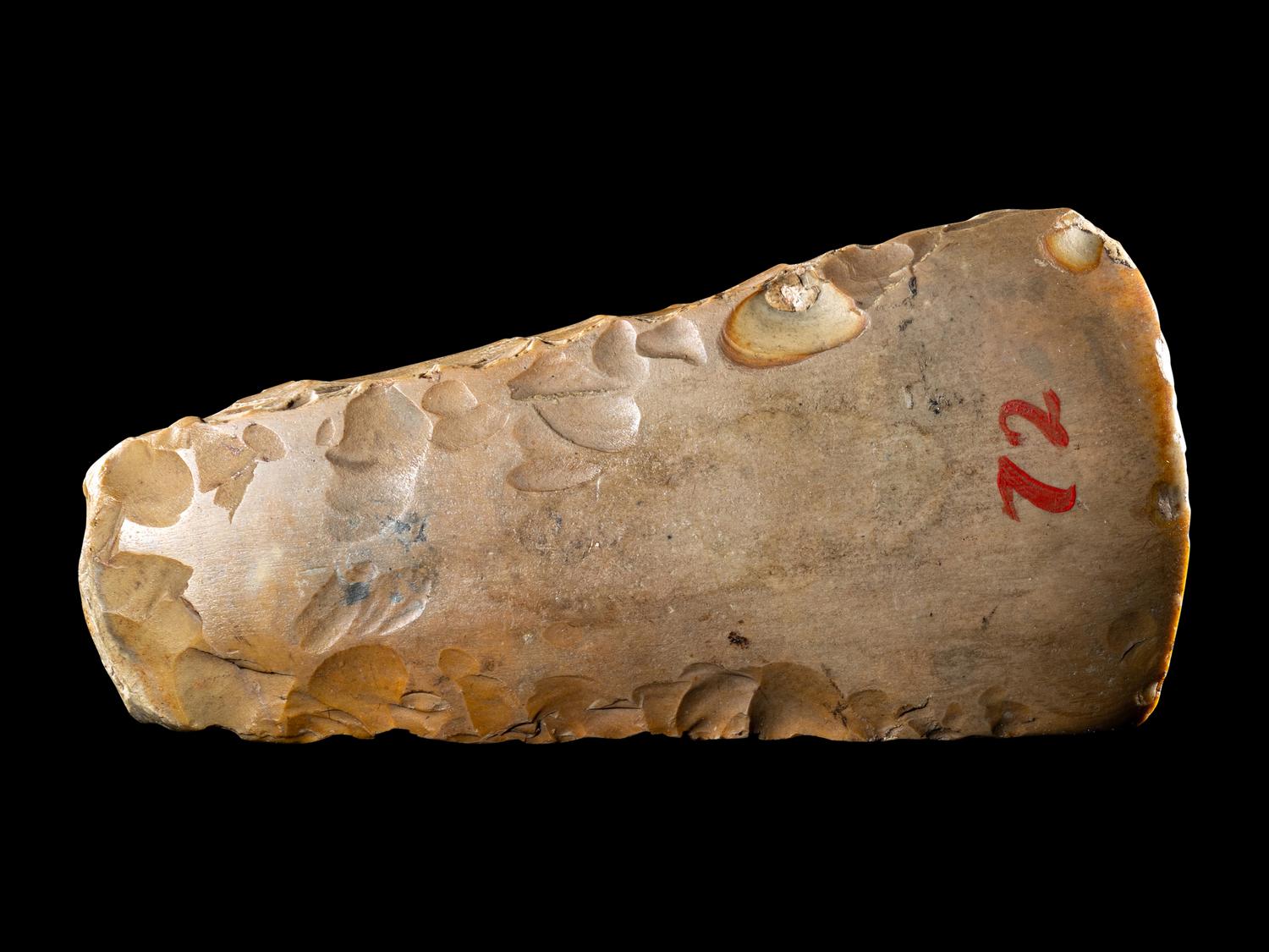 A Neolithic Flint Thin-Butted Axe