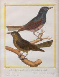 A Set of Four Hand-Colored Engravings After Francois Martinet — 18TH CENTURY