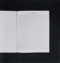 Notes and Observations (Page 41) (from BAM Photography Portfolio IV ), 2009
