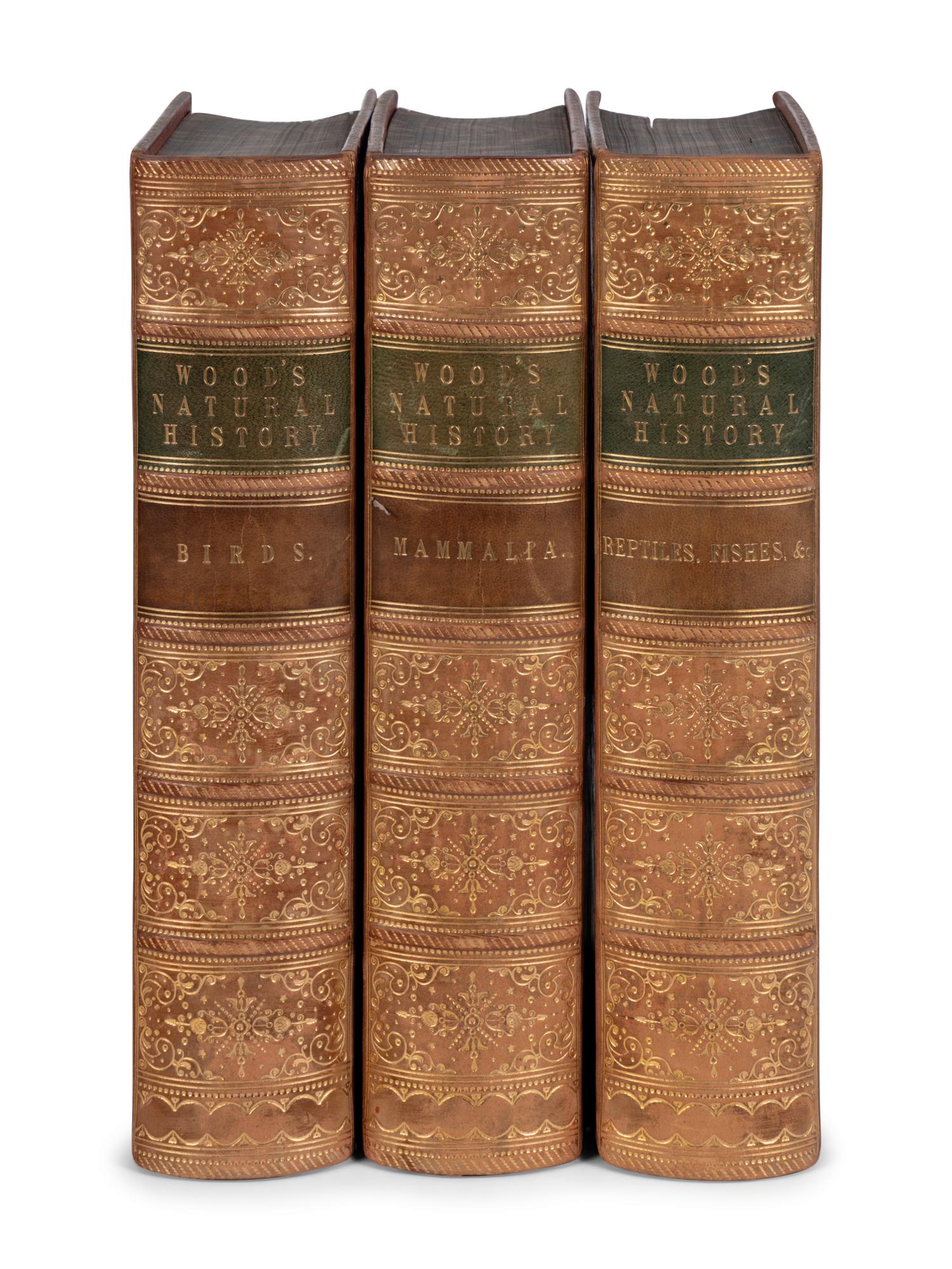 [NATURAL HISTORY]. WOOD, John George (1827-1889). The Illustrated Natural History . London: Routledge, Warne, and Routledge, 1862-1863.