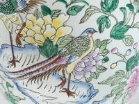 A Chinese Porcelain Garden Stool