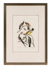 AUDUBON, John James (1785-1851) Arkansaw Flycatcher . Swallow Tailed Flycatcher. Says Flycatcher (Plate CCCLIX) Muscicapa verticalis . Muscicapa forficata . Muscicapa saya .