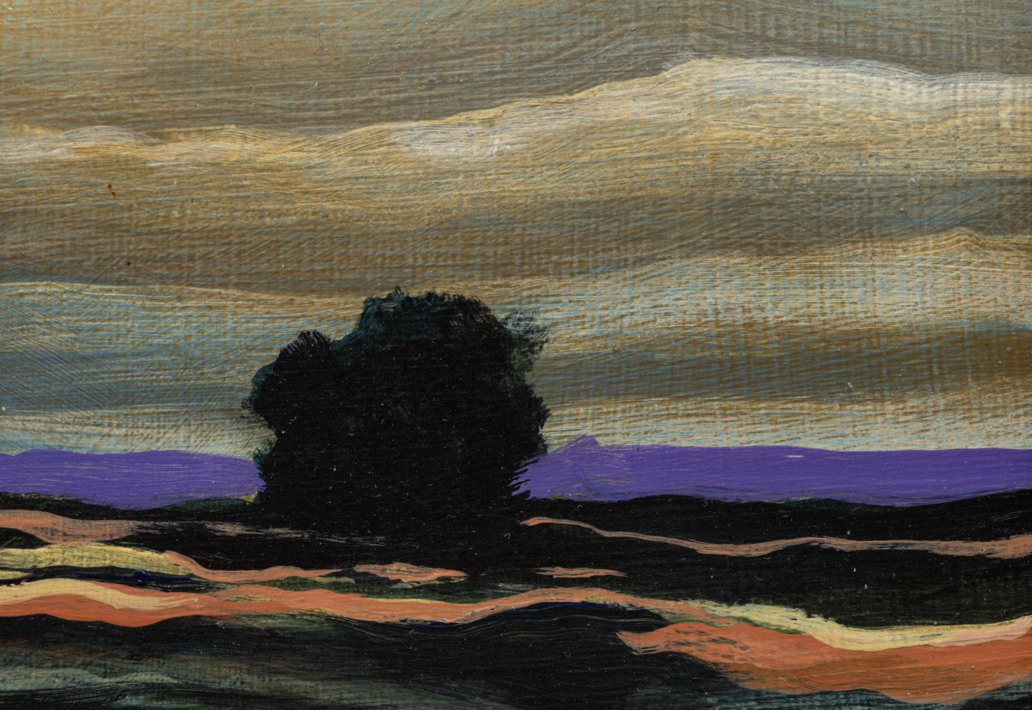 Southwest Landscape