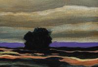 Southwest Landscape