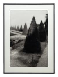 David Armstrong (1954-2014) Birches in Friedhof, Berlin; Shrubs at Versailles; and Building, Dresden, 1992-1993