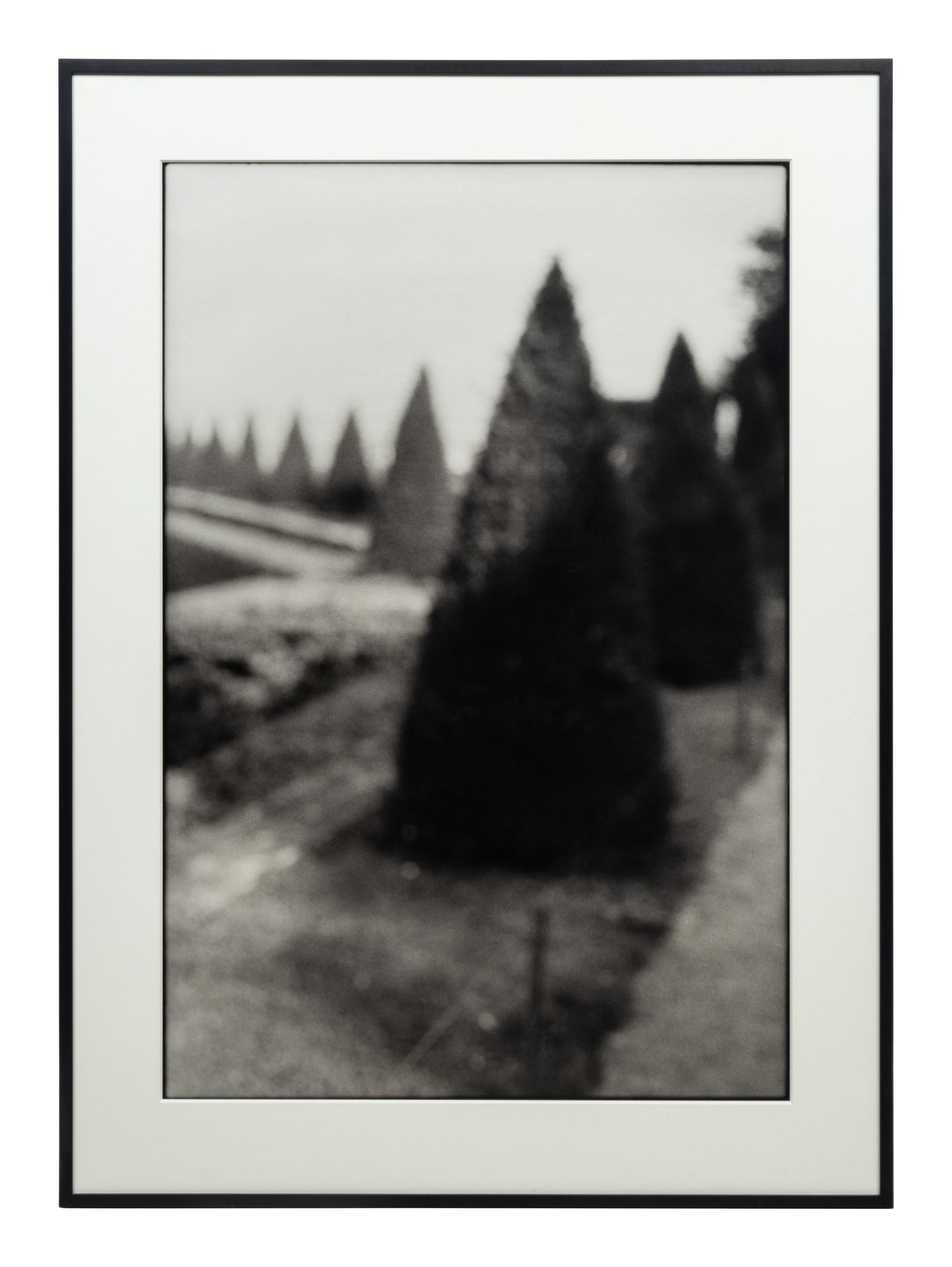 David Armstrong (1954-2014) Birches in Friedhof, Berlin; Shrubs at Versailles; and Building, Dresden, 1992-1993