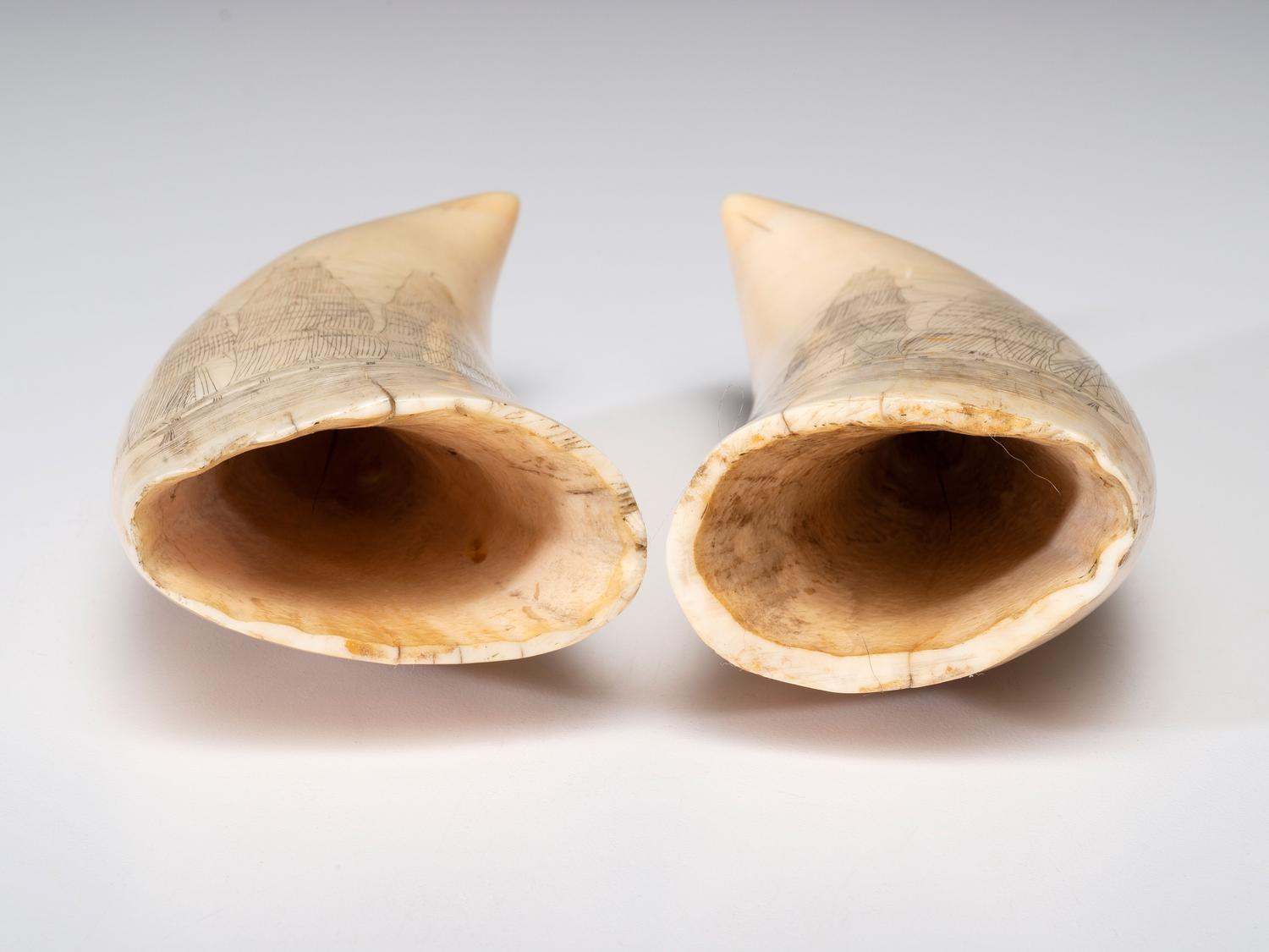 A Pair of Scrimshaw Sperm Whale's Teeth