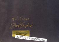 Still-Life of Fruit