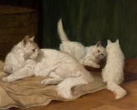 Mischievous Kittens